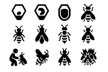 Bee Life Cycle Icons. Solid style icons of Bee Life Cycle: egg in cell, larva stage, capped pupa, emerging bee, worker bee, queen