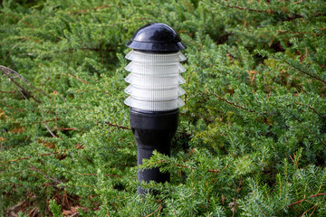 Outdoor garden light with cylindrical white diffuser standing among dense green bushes. Landscape...