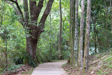 Record made one morning at Alberto Simões Park.