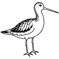 Obraz premium Simple Dunlin Bird Silhouette Vector – Black Outline on White
