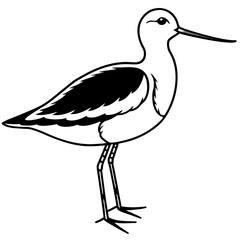 Obraz premium Simple Dunlin Bird Silhouette Vector – Black Outline on White