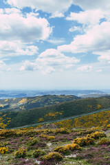 Obraz premium landscape with mountains