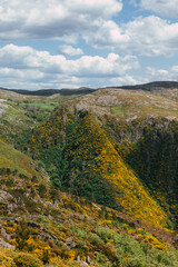 spring landscape in the mountains