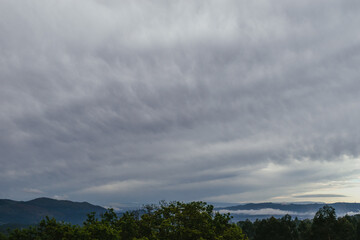 storm clouds over the forest