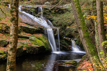 Ender's Falls waterfall in the woods