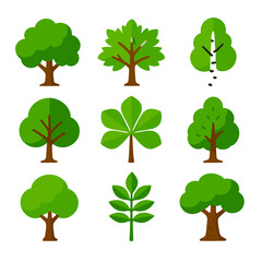 Fototapeta premium Colorful Tree Icons. Flat vector icons of deciduous trees: oak tree with full green crown, maple tree with spreading branches,