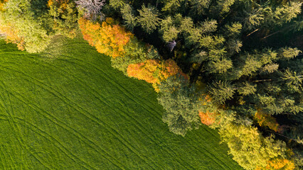 Agricultural Field Meets Autumn Forest Edge Aerial Rural Germany