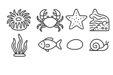Tide Pool Icons. Line style icons of Tide Pool: Anemone, Crab, Starfish, Retreating Tide, Seaweed, Small Fish, Pebble, Snail, No