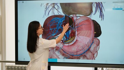 Female doctor using a large digital screen with a 3d model of the human digestive system to teach anatomy, pointing at the liver, stomach, and vascular system during a university lesson - Powered by Adobe