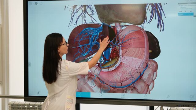 Female doctor using a large digital screen with a 3d model of the human digestive system to teach anatomy, pointing at the liver, stomach, and vascular system during a university lesson