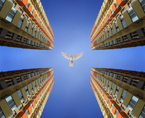 fantasy on the theme of the urban environment