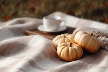autumn picnic setup with pumpkins, plaid blanket, and tea