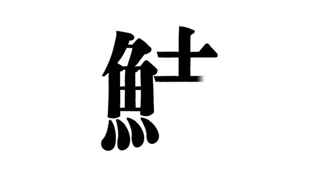 鯐　すばしり ボラの幼魚