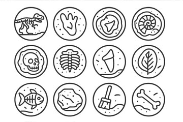Fossil Icons Collection. Line style icons of fossils in round shape: dinosaur skeleton, fossilized footprint, spiral shell fossil,