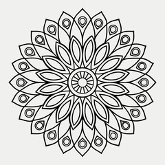 Intricate Adult Floral Coloring Book Style Advanced Mandala Design with Paisley and Spiral Motifs