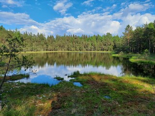 Obraz premium lake in the forest