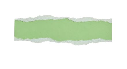 Torn green paper strip with textured edges isolated on a plain background