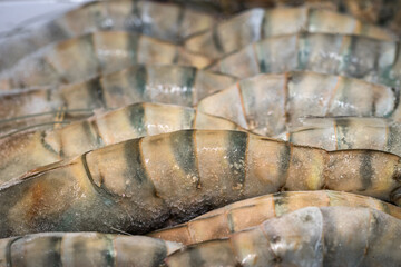 frozen raw shrimp photographed in close-up with ice crystals