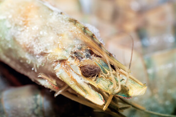 Frozen raw shrimp photographed close-up.