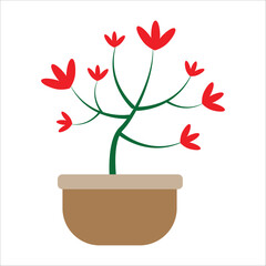 tree in a pot
