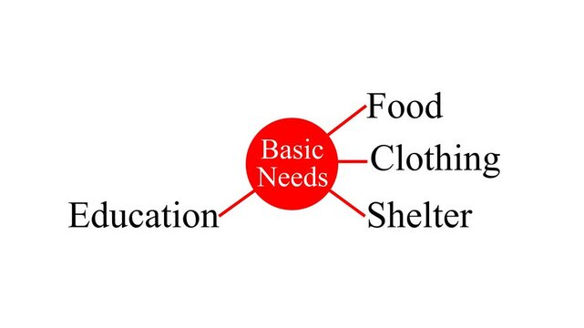 Basic needs are essential things every person requires to survive and live a healthy life.