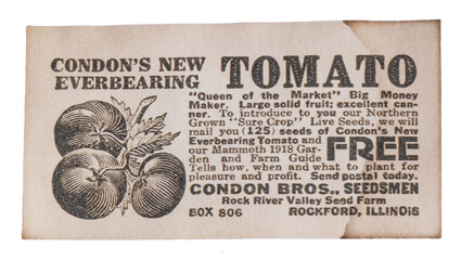 vintage ephemera, paper-based items originally meant to be used brief-cards, tickets, ads—that over time gain collectible or historical value, authentic glimpses of past daily life