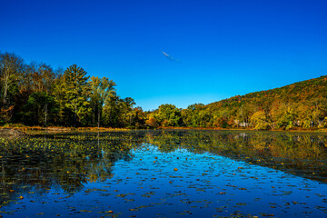Autumn Landscapes with trees and Sky