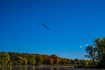 Autumn Landscapes with trees and Sky