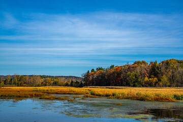 Autumn Landscapes with trees and Sky