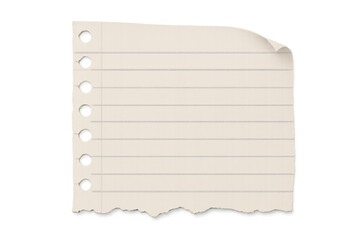 Lined paper torn from a notebook, featuring a curled corner and punch holes, with transparent background