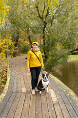 A blonde woman on a walk in an autumn yellow park with a dog. American Staffordshire Terrier, a pet.