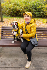 A blonde woman on a walk in an autumn yellow park with a dog. American Staffordshire Terrier, a pet.