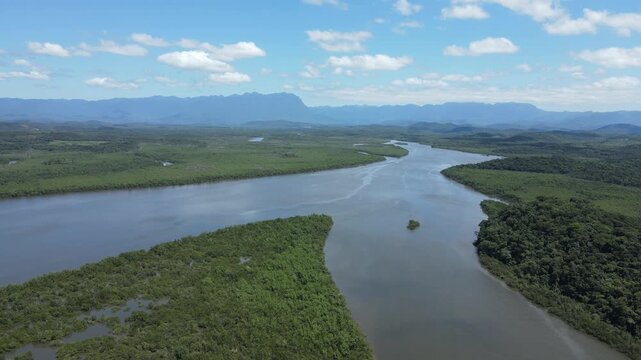 Voo sobre rio em mangue no litoral do Paran&aacute; em Paranagu&aacute; em Alexandra na mata atl&acirc;ntica desaguando no mar