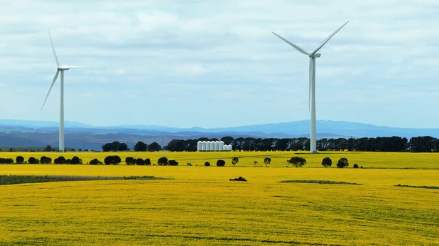 A vibrant yellow field with wind turbines and blooming flowers