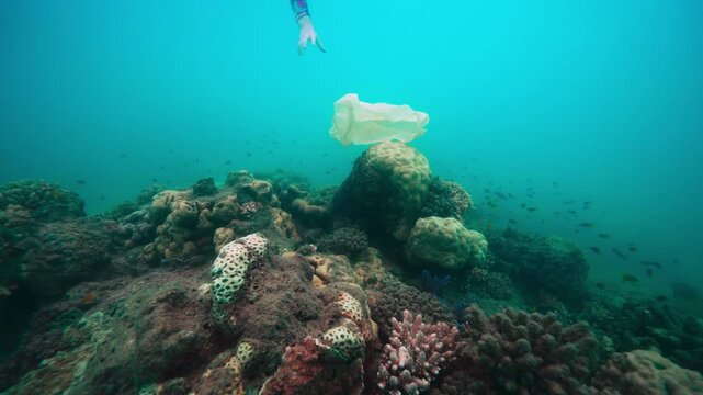 Plastic on the great barrier reef pacific coral