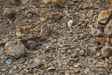 a collection of large rocks scattered on the ground, the rocks are gray brown and yellowish orange in the process of weathering and oxidation with a background of soil and small rock fragments
