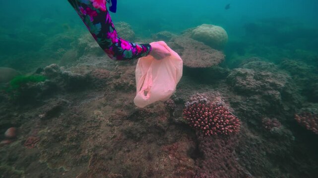 Plastic on the great barrier reef pacific coral