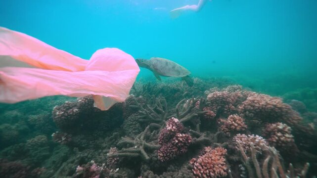 Plastic on the great barrier reef pacific coral