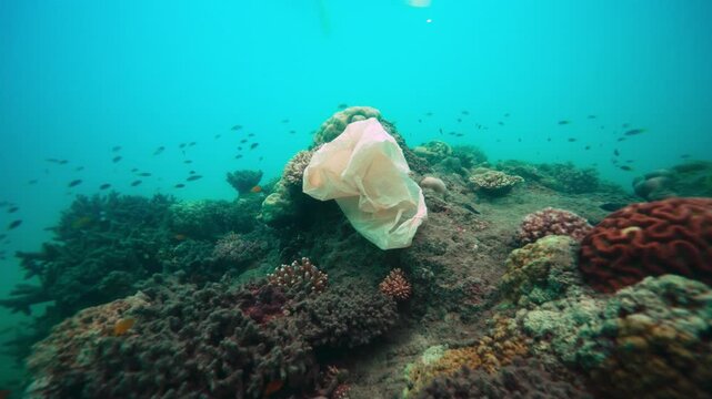 Plastic on the great barrier reef pacific coral