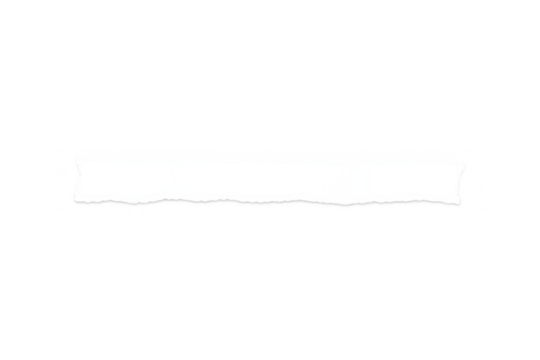 White paper strip with a rough, ripped edge effect. Separating an area for text, message, or copy on transparent background