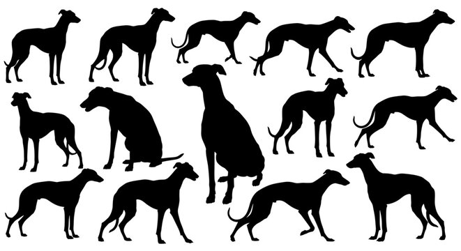 Elegant greyhound silhouettes showcasing grace and athleticism in various dynamic poses, perfect for pet lover designs and sporty themes