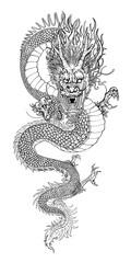 Intricate dragon illustration with detailed scales and fierce expression. The dragon's dynamic pose and elaborate design highlight its mythical and powerful nature. Chinese dragon illustration.