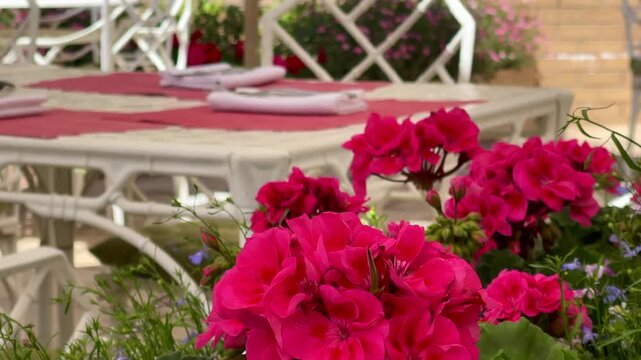 English garden table scene with crisp white chairs, red mats, folded napkins and vivid pink geraniums framing the view in warm afternoon light