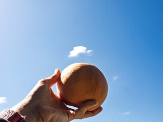 秋空に掲げる瑞々しき梨