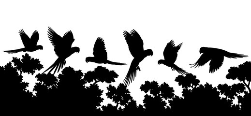 Black silhouette illustrations of parrots flying over tropical trees isolated on transparent background