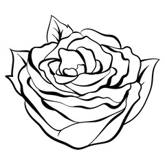 Flash old school tattoo vintage outline rose png icon