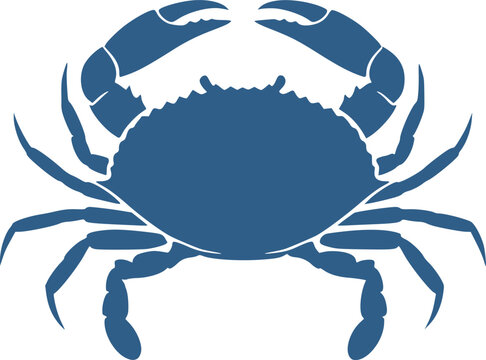 Blue Crab Silhouette. This image shows a black silhouette of a blue crab, also referred to as a crab outline or crustacean shape. Vector clipart illustration design.
