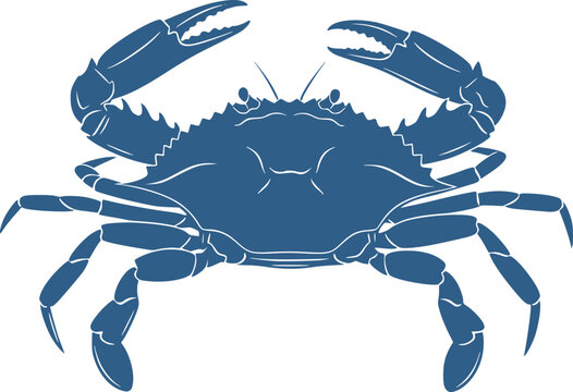 Blue Crab Silhouette. This image shows a black silhouette of a blue crab, also referred to as a crab outline or crustacean shape. Vector clipart illustration design.