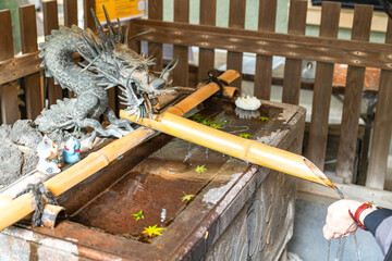 神社の手水舎で手を清める人の手