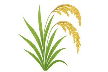 Obraz premium Golden rice plant with mature grains and green leaves, symbolizing agriculture and harvest on transparent background